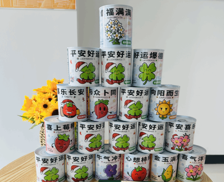  p站视频