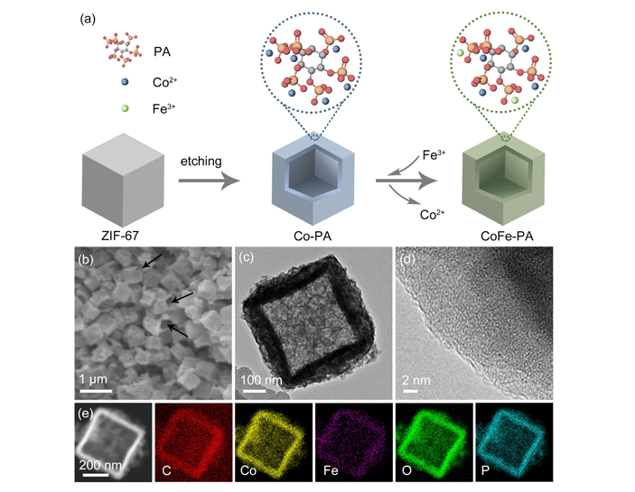 Identifying the dynamic behaviors in complete reconstruction of Co-based complex precatalysts during electrocatalytic oxygen evolution